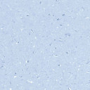 Линолеум Vertigo Eden E30613 SKY BLUE  | FLOORDEALER